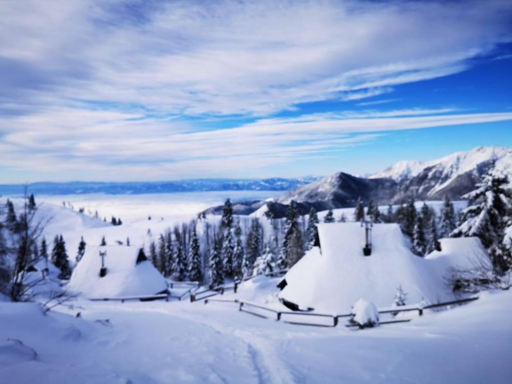 Chalet Zlatica Velika Planina Stahovica Buitenkant foto