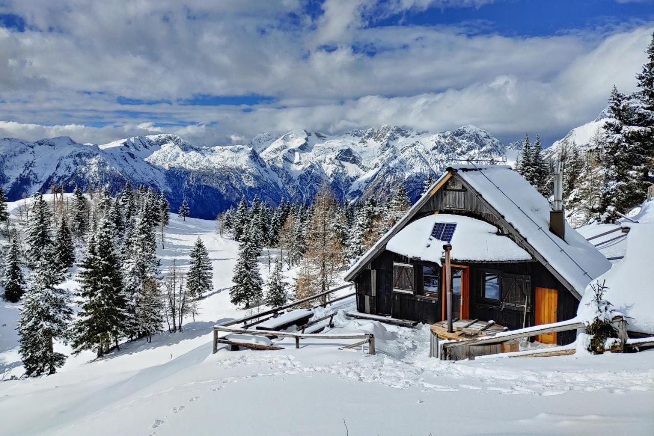 Chalet Zlatica Velika Planina Stahovica Buitenkant foto