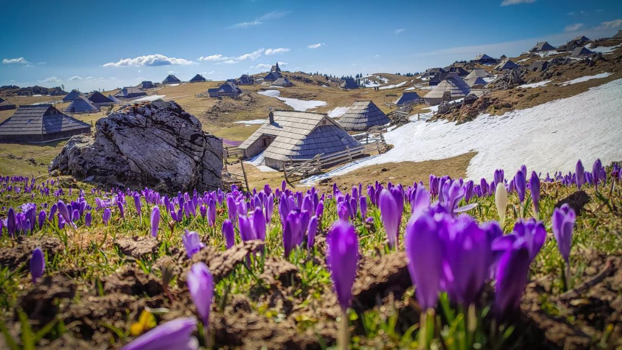 Chalet Zlatica Velika Planina Stahovica Buitenkant foto