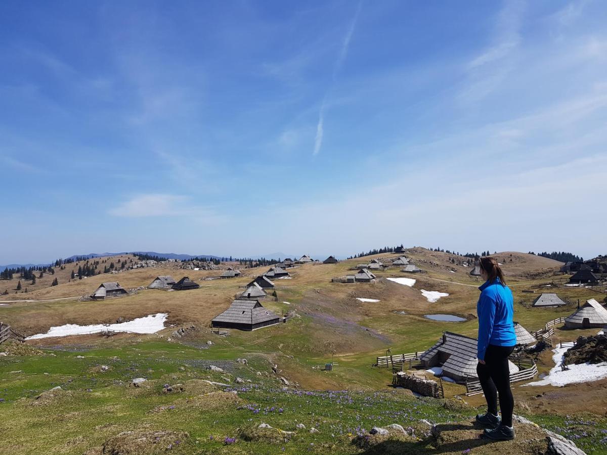 Chalet Zlatica Velika Planina Stahovica Buitenkant foto