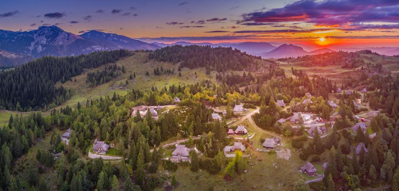 Chalet Zlatica Velika Planina Stahovica Buitenkant foto