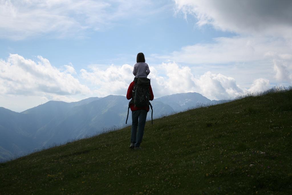 Chalet Zlatica Velika Planina Stahovica Buitenkant foto