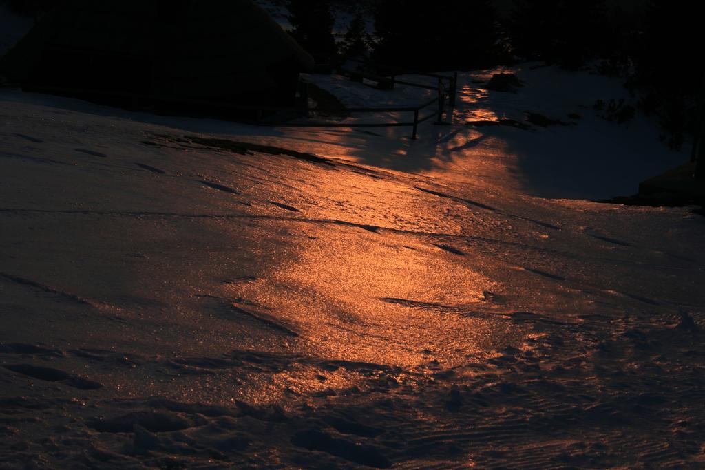 Chalet Zlatica Velika Planina Stahovica Buitenkant foto