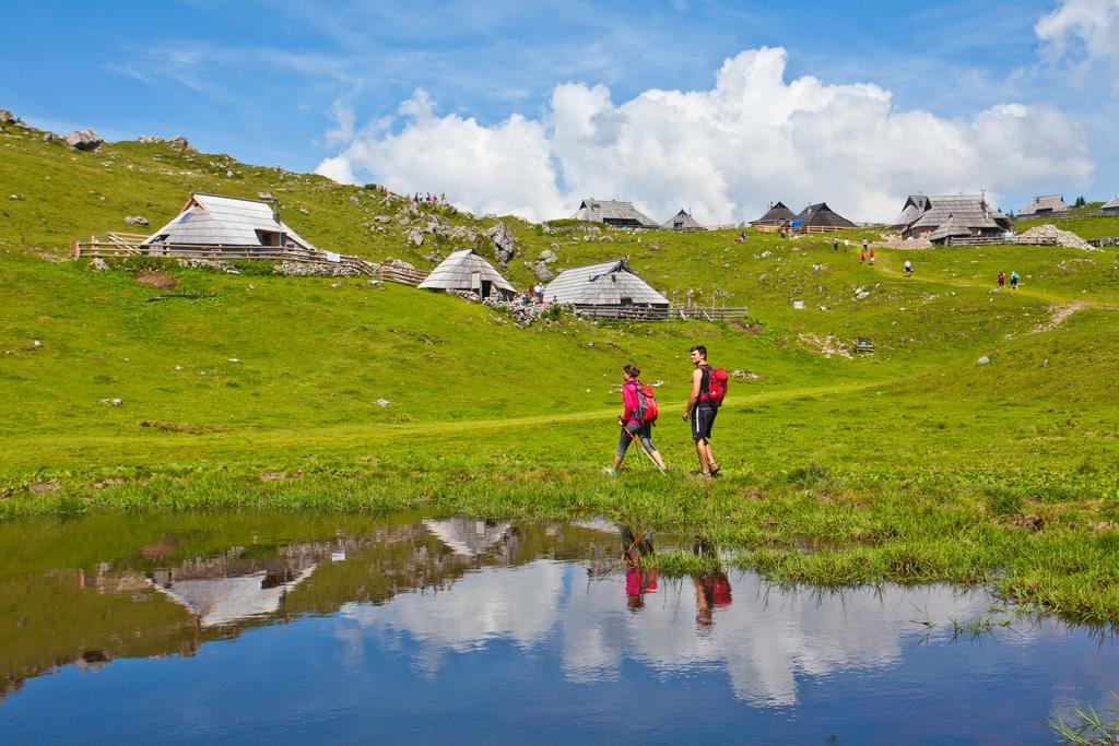 Chalet Zlatica Velika Planina Stahovica Buitenkant foto