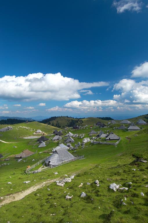 Chalet Zlatica Velika Planina Stahovica Buitenkant foto